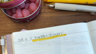 3月フクモチャレンジ終了｜地固めで整えた15日間と次につながる設計